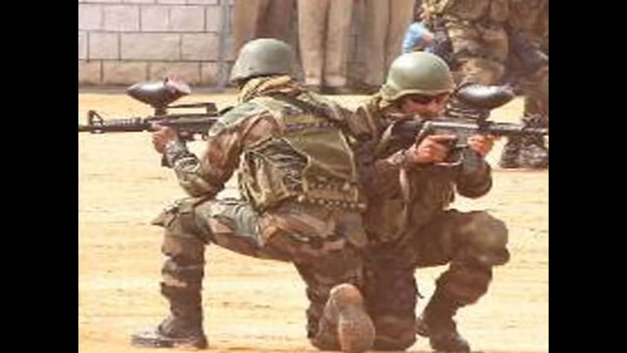 Endangered eco-system of armed forces